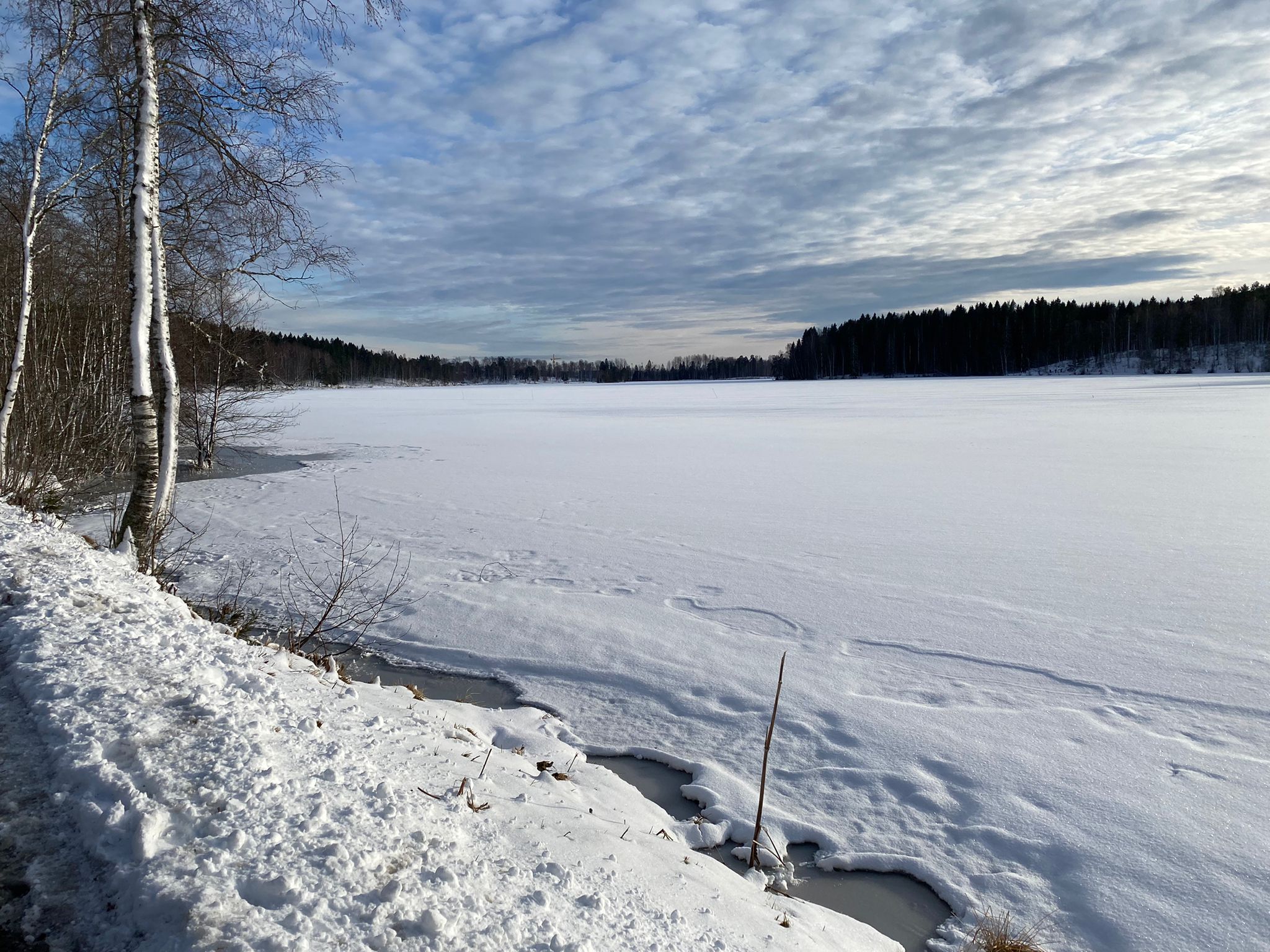 Lac de Sognsvann, au nord de la ville d’Oslo (mars 2024)
